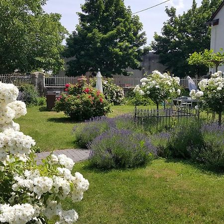 Ferienwohnung Altes Pfarrhaus Mit Flair Und Moselblick Brauneberg Zewnętrze zdjęcie